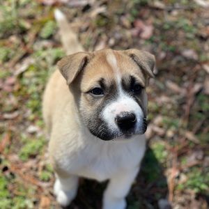 Meet your Posher, Kera